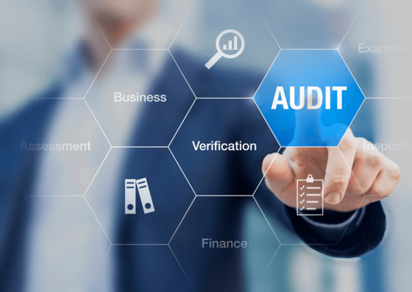 annual audit